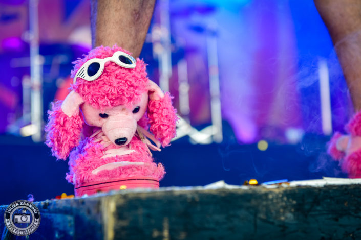 Ultra Vomit plays at the Download Festival Paris - 2018