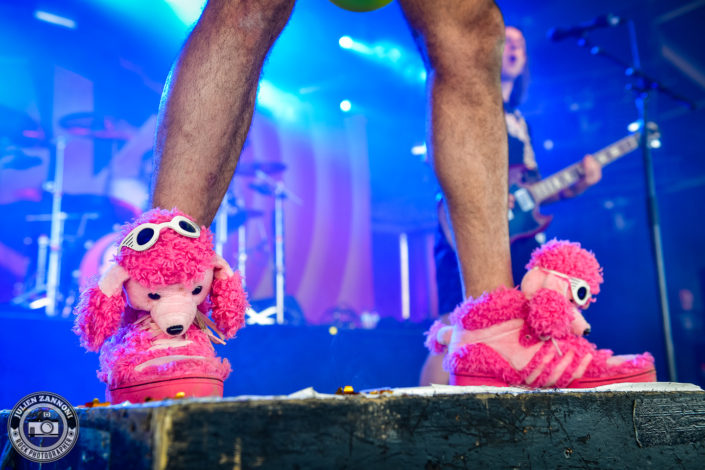Ultra Vomit plays at the Download Festival Paris - 2018