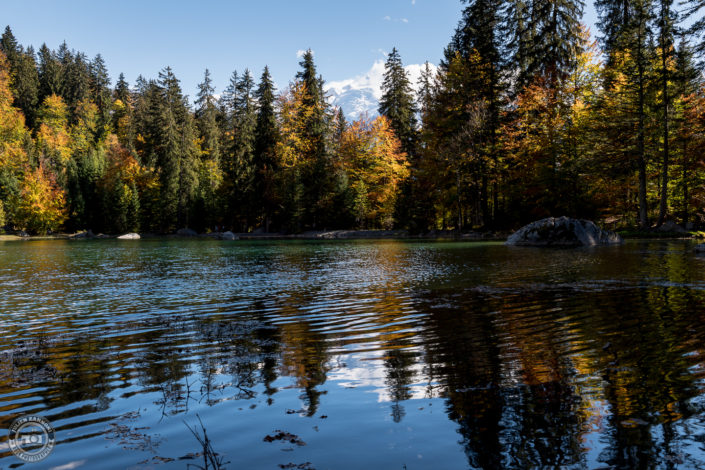 Lac Vert - automne 2018