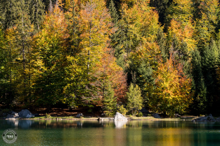 Lac Vert - automne 2018