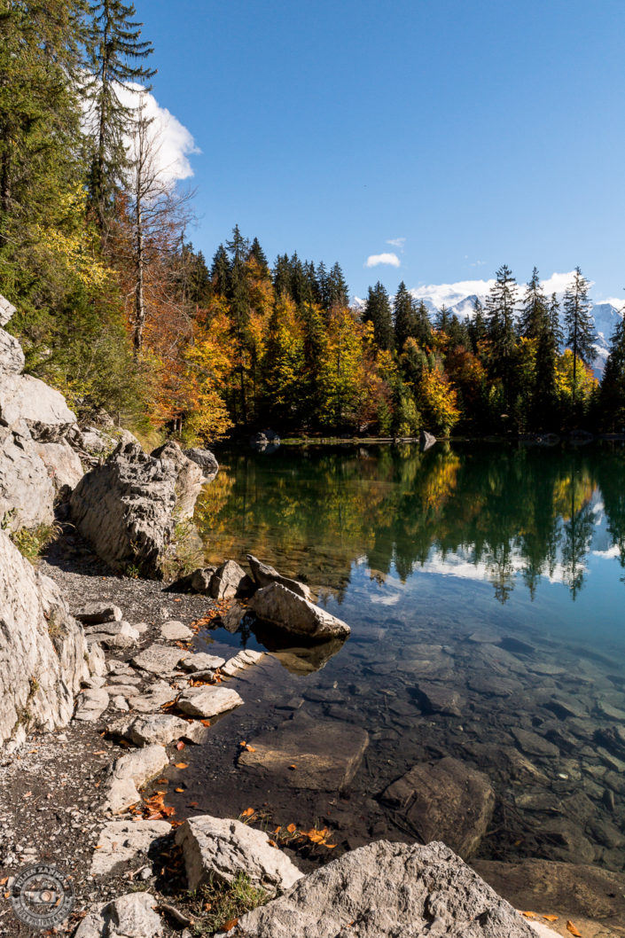 Lac Vert - automne 2018