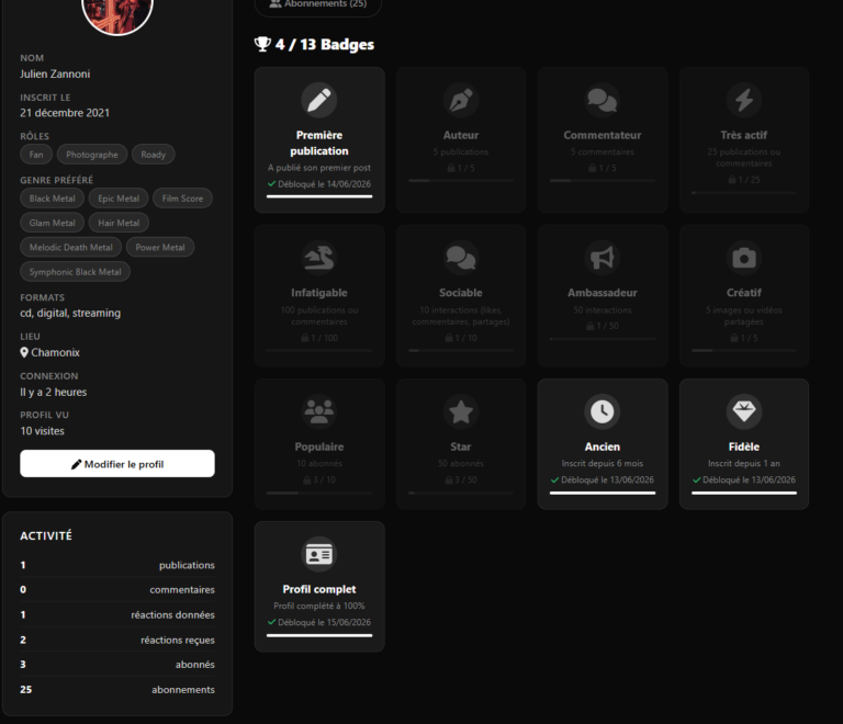 Statistiques de profil et système de badges récompenses sur la plateforme Vintera